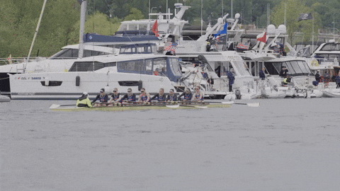 GIF by Washington Athletics