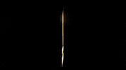 PassionGGs happy funny fire twitch GIF