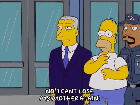 homer simpson GIF