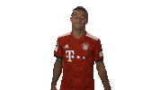 wont happen no way Sticker by Bundesliga