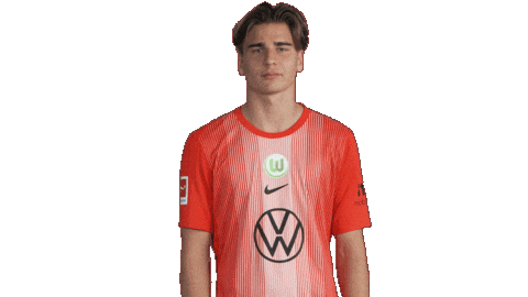 Football Thumbs Up Sticker by VfL Wolfsburg