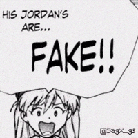 Jordans Geniuses GIF