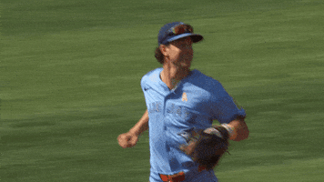 Blue Jays Baseball GIF by Toronto Blue Jays