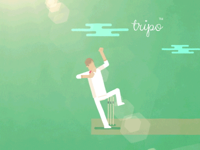 Cricket Wow GIF by tripo