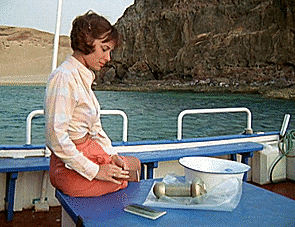 kateward66d3 giphyupload GIF