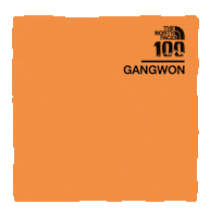 thenorthface100_gangwon trail running the north face tnf100 2020 tnf100 Sticker
