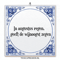 Wijsheid Troost GIF by Tegelspreuken.nl