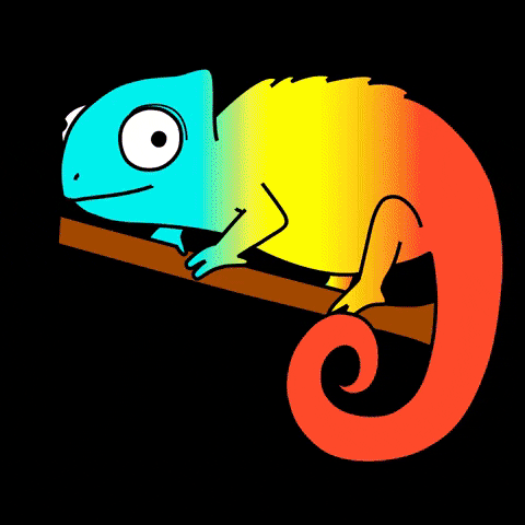 koe_opku giphygifmaker koe kamu kameleontti kameleontti GIF