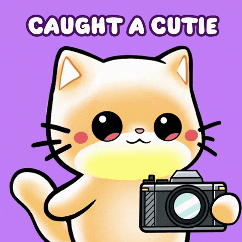 Cat Flirt GIF by Mochimons
