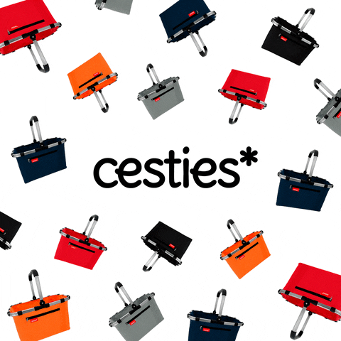 cesties giphyupload GIF