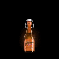 dithmarscher_brauerei party beer cheers german GIF