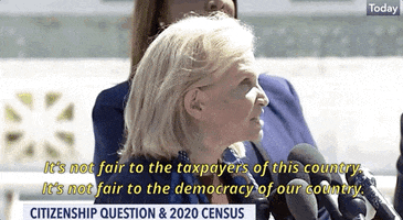 news 2020 census GIF