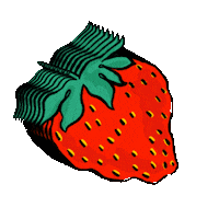 vintagesupplyclothing vintage fruit strawberry berry Sticker