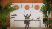 Boss Challenge GIF by ZZ Ward