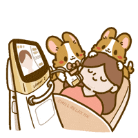 Happy Dog GIF by Lazy Corgi