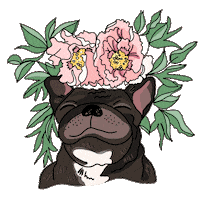 happy dog Sticker by Ivo Adventures