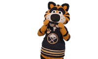 Ice Hockey Sticker by NHL