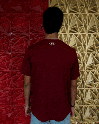 Elon Mens Tennis GIF by Elon Phoenix