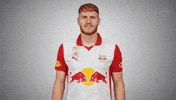 Sunglasses Shades GIF by FC Red Bull Salzburg