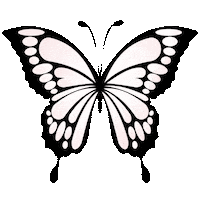 White Butterfly Sticker by Bel Diniz