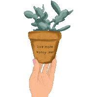Plant Sticker