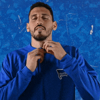 Sport Bundesliga GIF by Hertha BSC