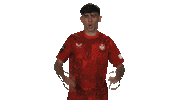 Fc Kaiserslautern Omg Sticker by Bundesliga