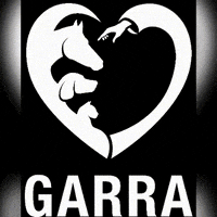 garranimal garranimal GIF