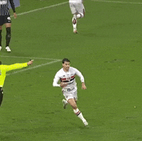 Sao Paulo GIF