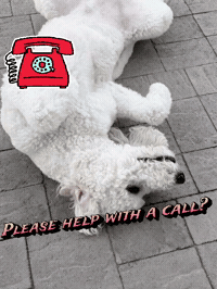 Calls GIF by Rancho Health