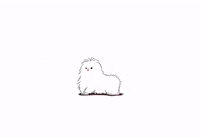 Dog Love GIF by Qianhui_yuu