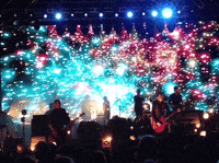 crowd sigur rã³s GIF by Tara