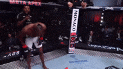 Ufc Champion GIF