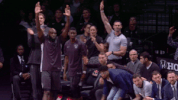 excited brooklyn nets GIF by NBA