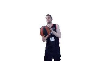 Liga Endesa Spinning Sticker by ACB