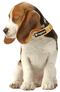dogston Sticker