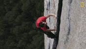 Nat Geo Adventure GIF by National Geographic Channel
