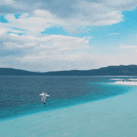 Go See You GIF by TRT
