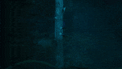 Halle Berry GIF by Lionsgate