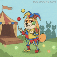 Showing Off Shiba Inu GIF by Doge Pound