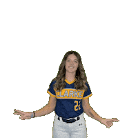 Clarke Softball Sticker by Clarke University