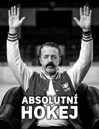 Hokej Lajna GIF by Seznam.cz