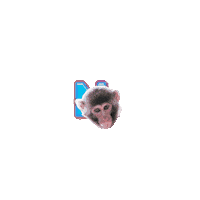 Fun New Post Sticker