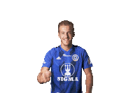 Football Yes Sticker by FORTUNA:LIGA