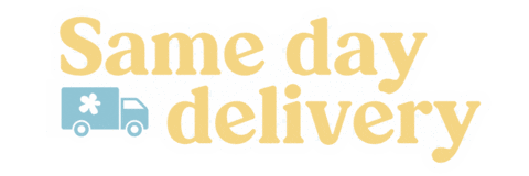 Same Day Delivery Sticker by Poco Posy