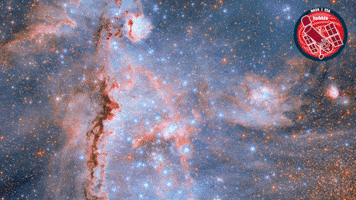 Stars Nasa GIF by ESA/Hubble Space Telescope