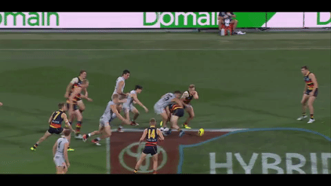 spin afl GIF by Adelaide Crows