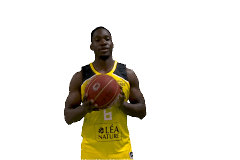 La Rochelle Basketball Sticker by Stade Rochelais