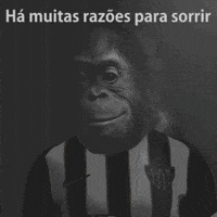 Atletico Macaco GIF