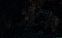 Minus One Godzilla GIF